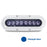 OceanLED X-Series X8 - Midnight Blue LEDs [012305B]
