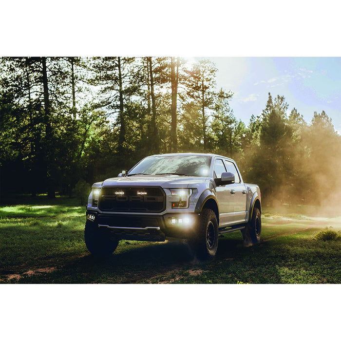 RIGID Industries DSeries PRO SpecterDriving LED  Pair  Black 502313