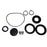 Maxwell Seal Kit f800 Series P90003
