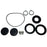 Maxwell Seal Kit f1200 Series P90004