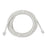 Victron RJ12 UTP Cable  10M ASS030066100