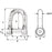 Wichard SelfLocking Allen Head Pin D Shackle  8mm Diameter  516 01304